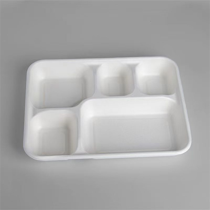 five compartments  container with lid from DisposablesInc.com. The best import service in China. Import your disposable items and products from us.